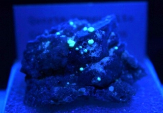 Dresseite -  Francon quarry, Montréal, Québec, Canada